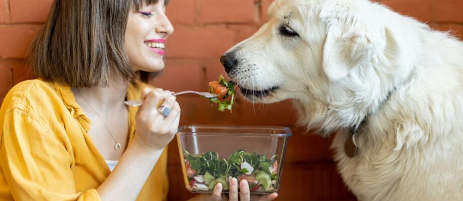 Human Foods Dogs Can Eat: A Friendly Guide